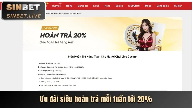 Hoàn trả hàng ngày 5xyz